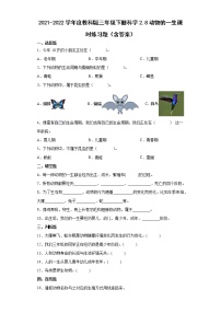 小学科学8.动物的一生同步达标检测题