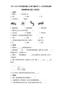 小学科学2.认识其他动物的卵同步达标检测题