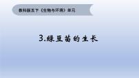 小学科学3.绿豆苗的生长集体备课ppt课件