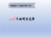 小学科学教科版五年级下册第一单元第4课《蚯蚓的选择》课件16（2022新版）