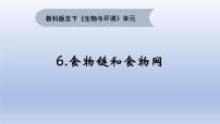 教科版 (2017)五年级下册6.食物链和食物网背景图课件ppt