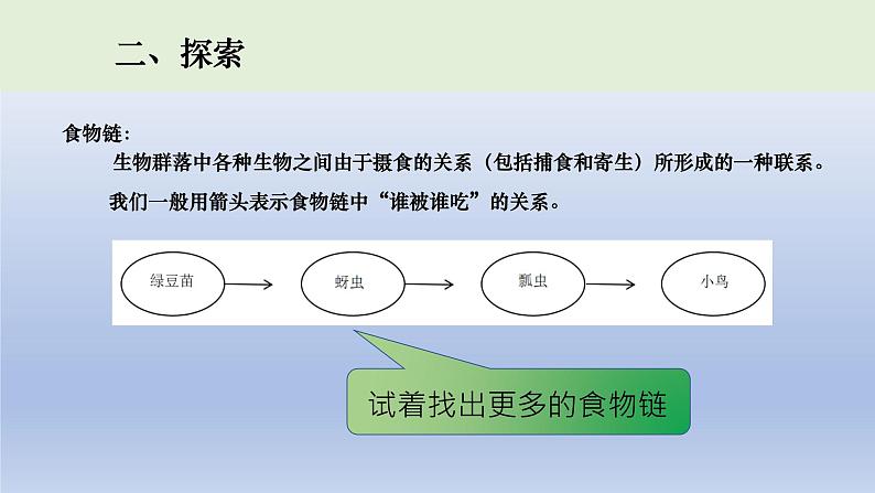 小学科学教科版五年级下册第一单元第6课《食物链和食物网》课件16（2022新版）05