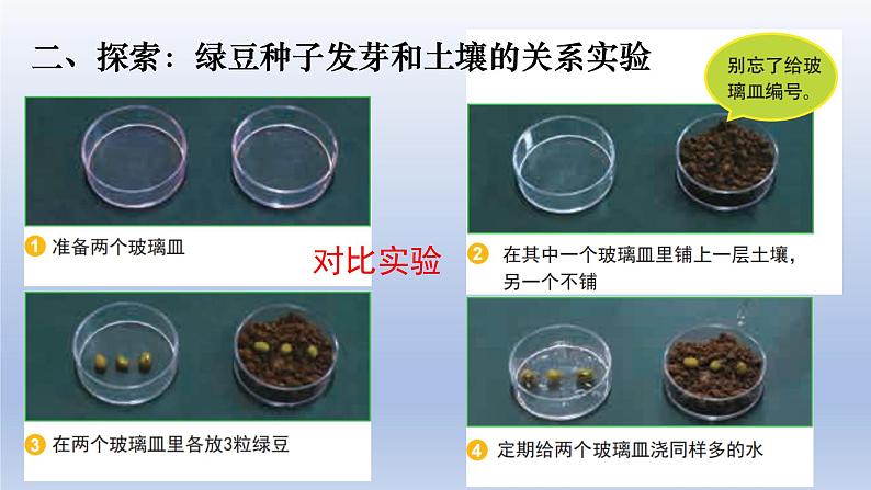 小学科学教科版五年级下册第一单元第1课《种子发芽实验》课件16（2022新版）第6页
