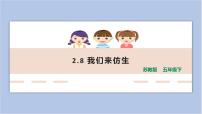 小学科学8 我们来仿生教学ppt课件