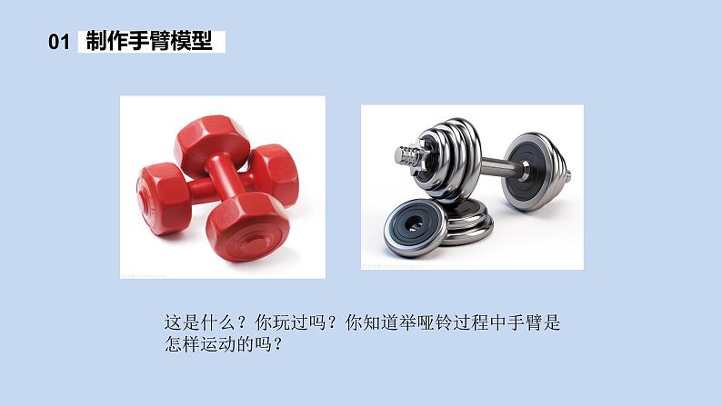 2.8《我们来仿生》课件第3页