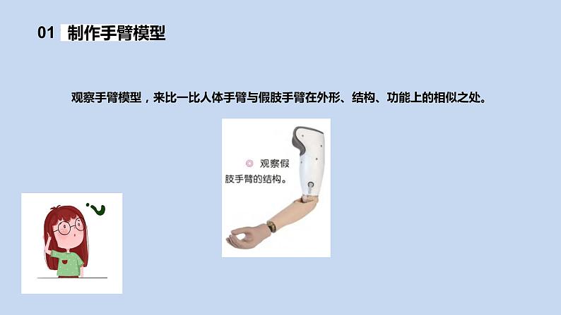 2.8《我们来仿生》课件第7页