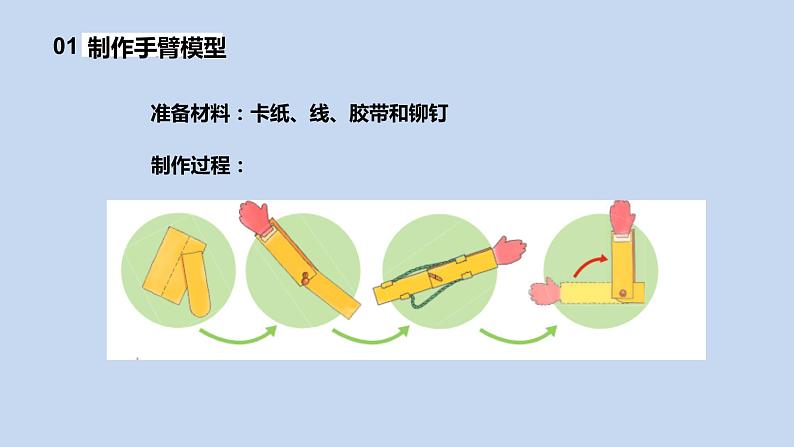 2.8《我们来仿生》课件第8页