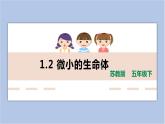 1.2《微小的生命体》 课件（15张PPT）+教案+素材