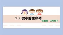 小学科学苏教版 (2017)五年级下册2 微小的生命体教课内容ppt课件