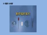 1.2《微小的生命体》 课件（15张PPT）+教案+素材