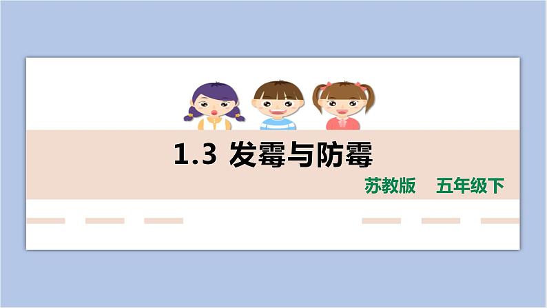 1.3发霉与防霉课件第1页