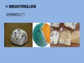 1.3《發(fā)霉與防霉》 課件（16張PPT）+教案+素材