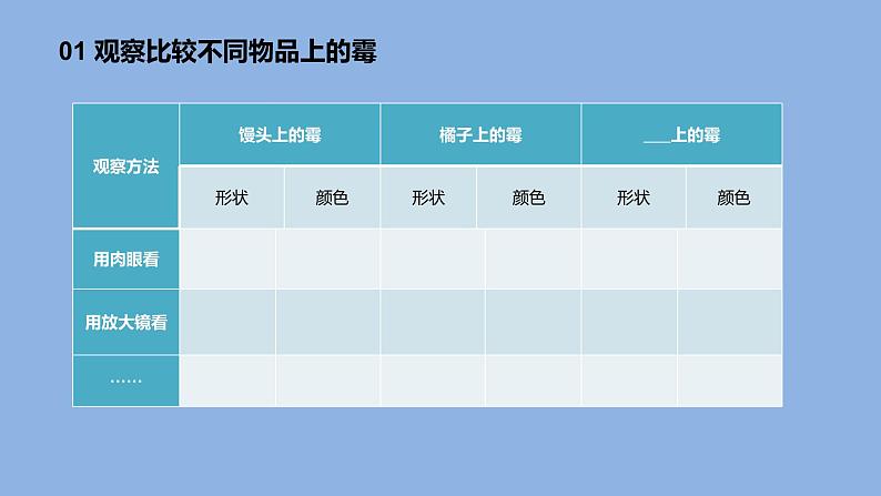 1.3发霉与防霉课件第5页