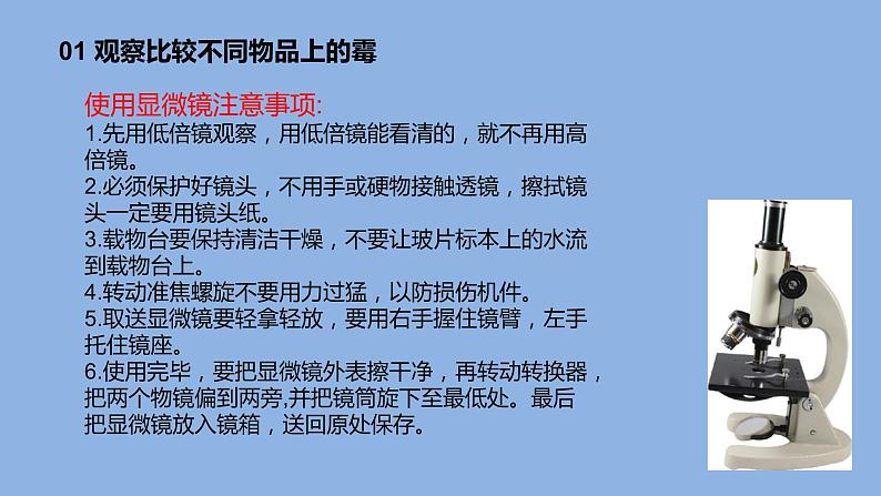 1.3发霉与防霉课件第7页