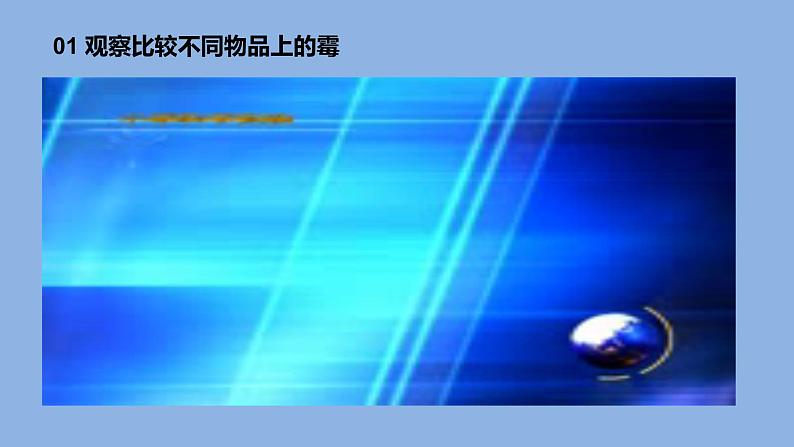 1.3发霉与防霉课件第8页