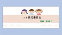2020-2021学年8 我们来仿生课堂教学课件ppt