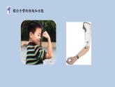 2.8《我們來(lái)仿生》課件（13張PPT）+教案