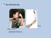 2.8《我們來(lái)仿生》課件（13張PPT）+教案