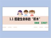 1.1《搭建生命体的“积木”》共2课时 课件（15张PPT+15张PPT）+教案+素材