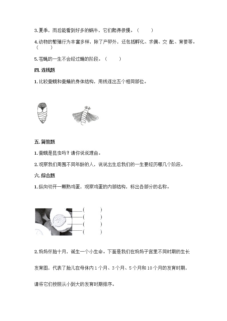 教科版（2017秋）科学三年级下册第二单元 动物的一生 单元测试卷（含答案）第2页