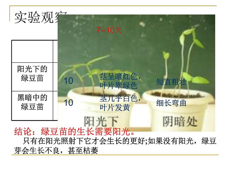 教科版科学五下1.3《绿豆苗的生长》课件PPT第8页