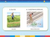 苏教版（2017）六下科学4.13《洁净的水域》授课课件