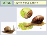 一年级下册科学2.4.给动物建个家 (课件+实验记录单+素材)教科版 (3份打包)