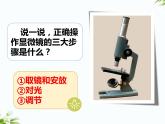 湘科版五年级下册科学1.3 细胞 课件+教案