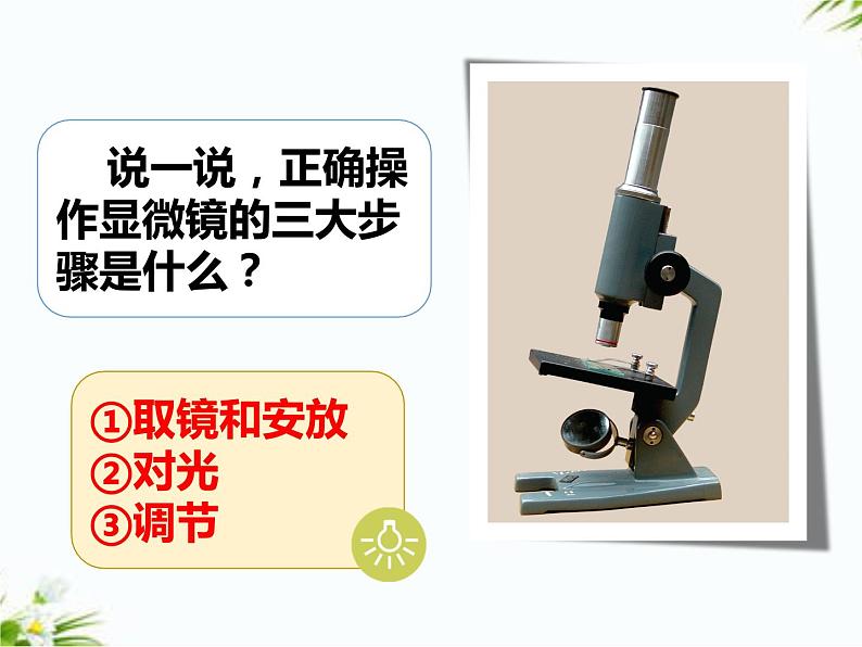 湘科版五年级下册科学1.3 细胞 课件+教案02