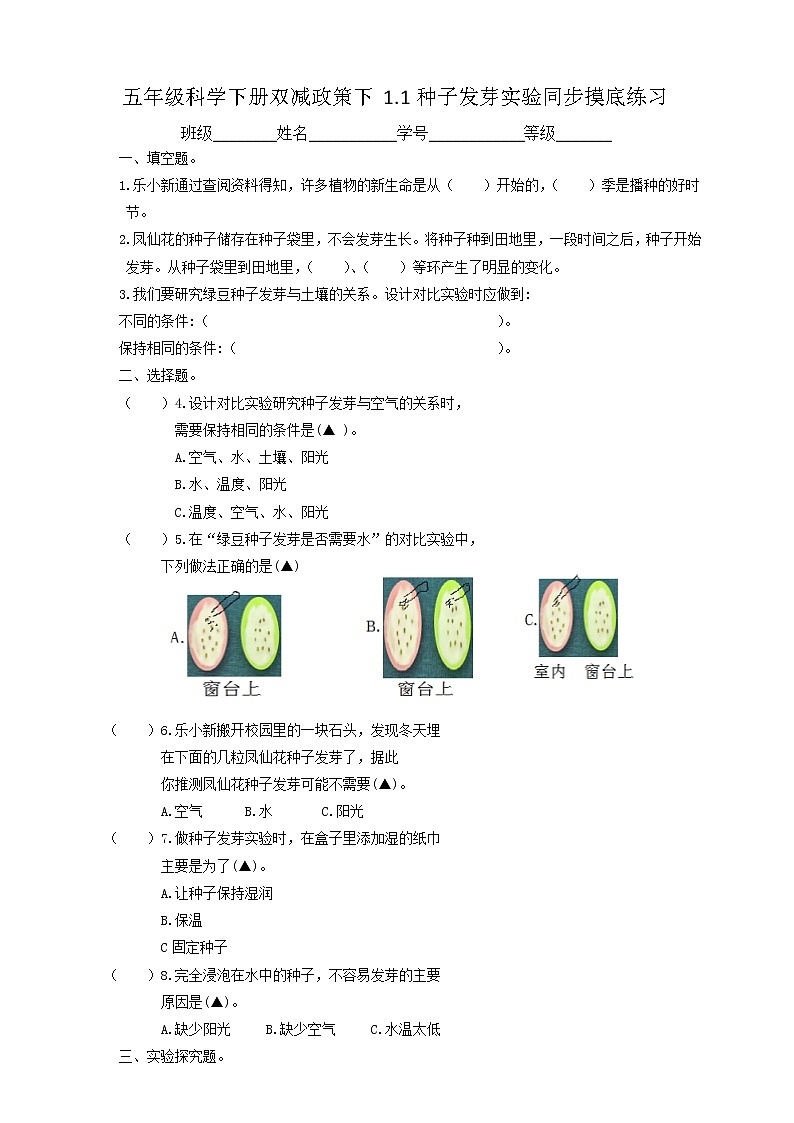 五年级科学下册双减政策下1.1种子发芽实验同步摸底练习（含答案）01