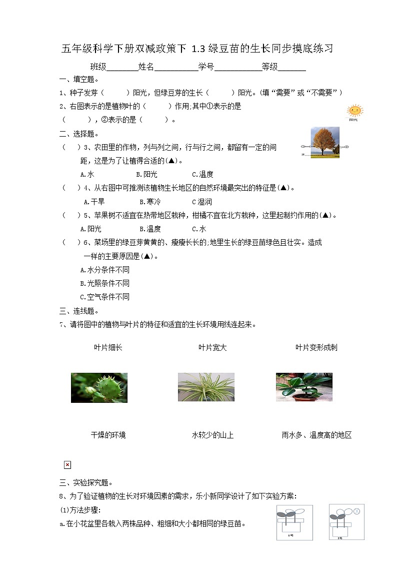 五年级科学下册双减政策下1.3绿豆苗的生长同步摸底练习（含答案）01