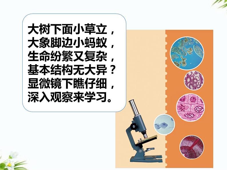 湘科版五年级下册科学1.1 神奇的显微镜 课件+教案02