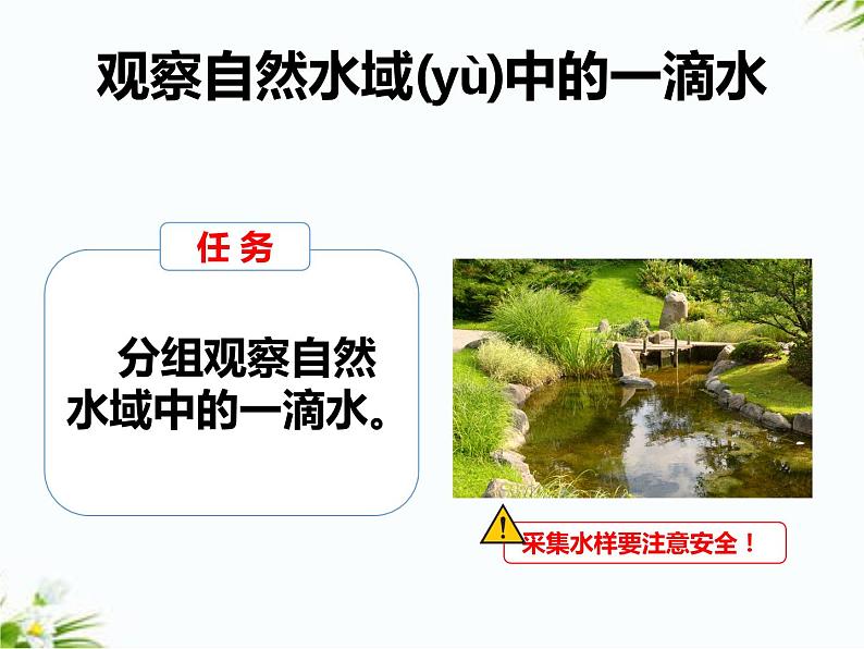 湘科版五年级下册科学1.1 神奇的显微镜 课件+教案03