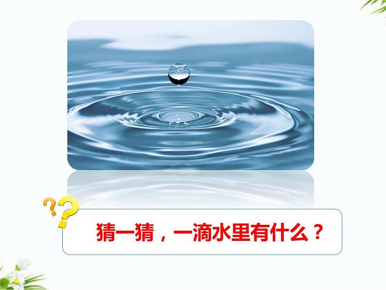 湘科版五年级下册科学1.1 神奇的显微镜 课件+教案04