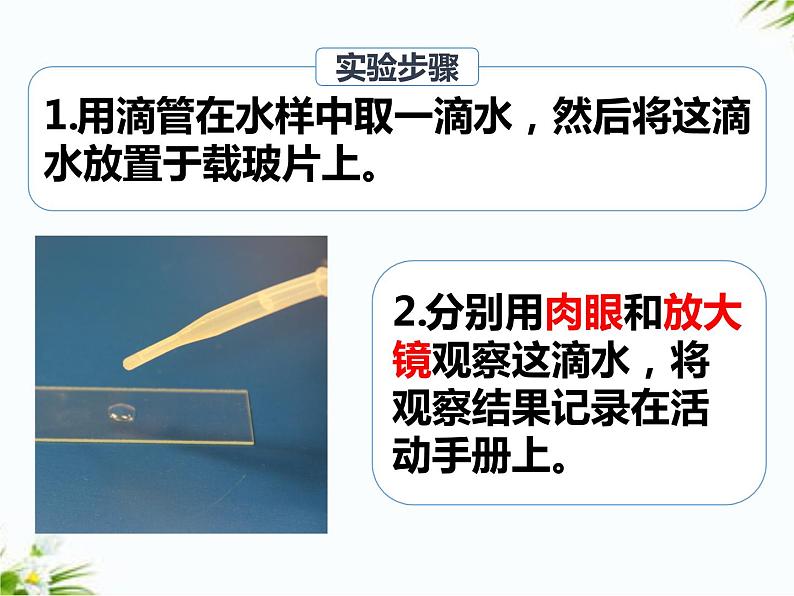 湘科版五年级下册科学1.1 神奇的显微镜 课件+教案05