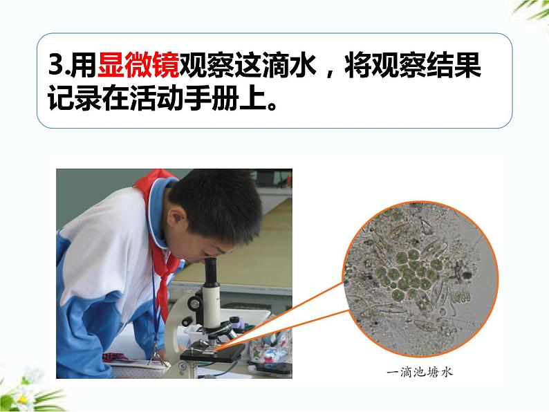 湘科版五年级下册科学1.1 神奇的显微镜 课件+教案06