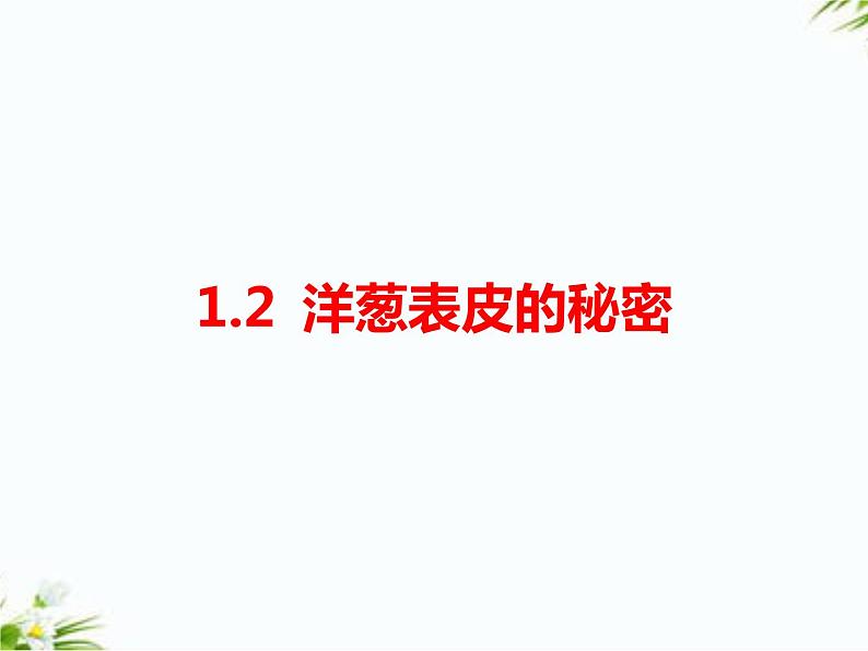 湘科版五年级下册科学1.2 洋葱表皮的秘密 课件+教案01