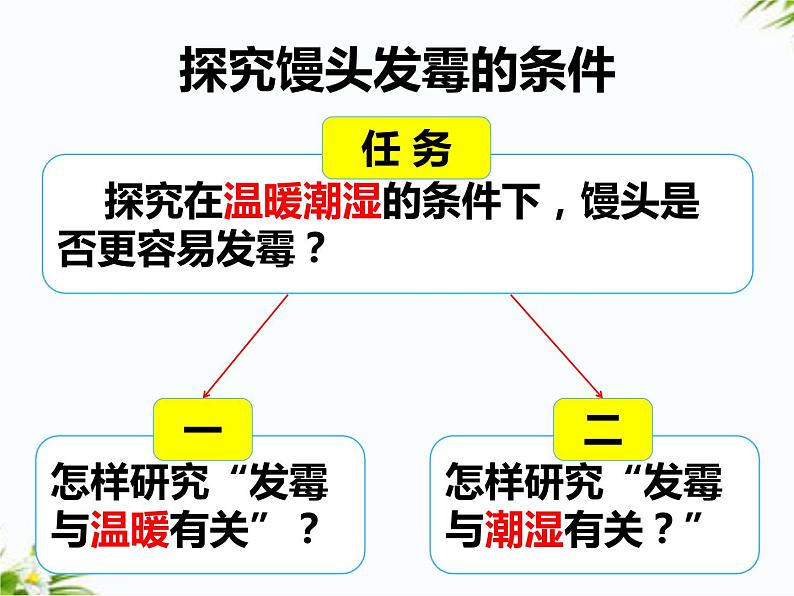 湘科版五年级下册科学2.1 发霉和发酵 课件+教案05