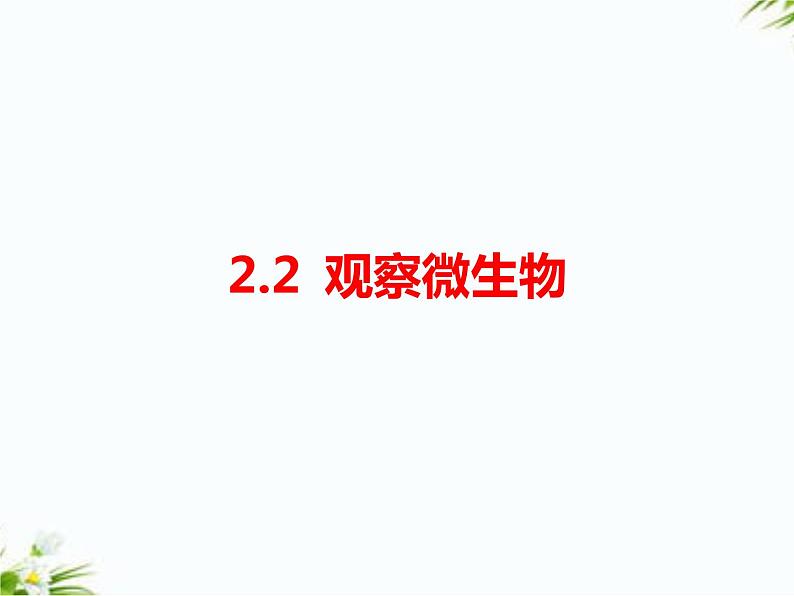 湘科版五年级下册科学2.2 观察微生物 课件+教案01