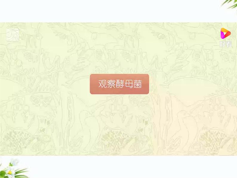 湘科版五年级下册科学2.2 观察微生物 课件+教案08