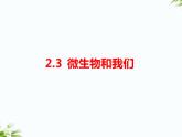 湘科版五年级下册科学2.3 微生物和我们 课件+教案