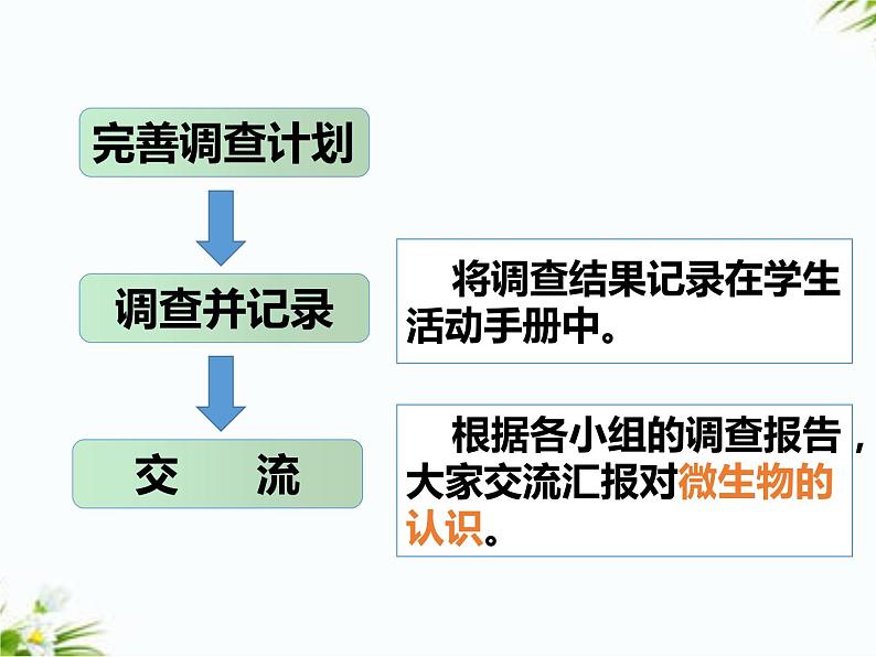 2.3 微生物和我们第8页