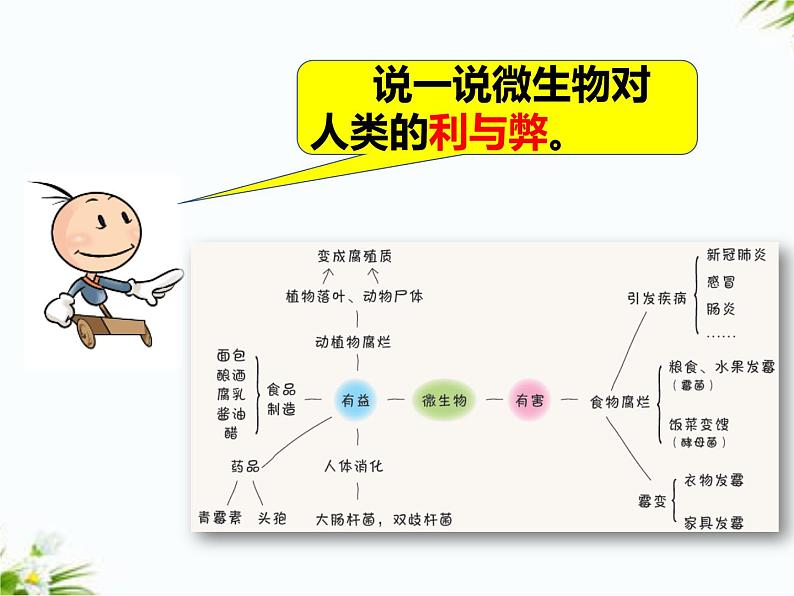 湘科版五年级下册科学2.4 传染病的防控 课件+教案02