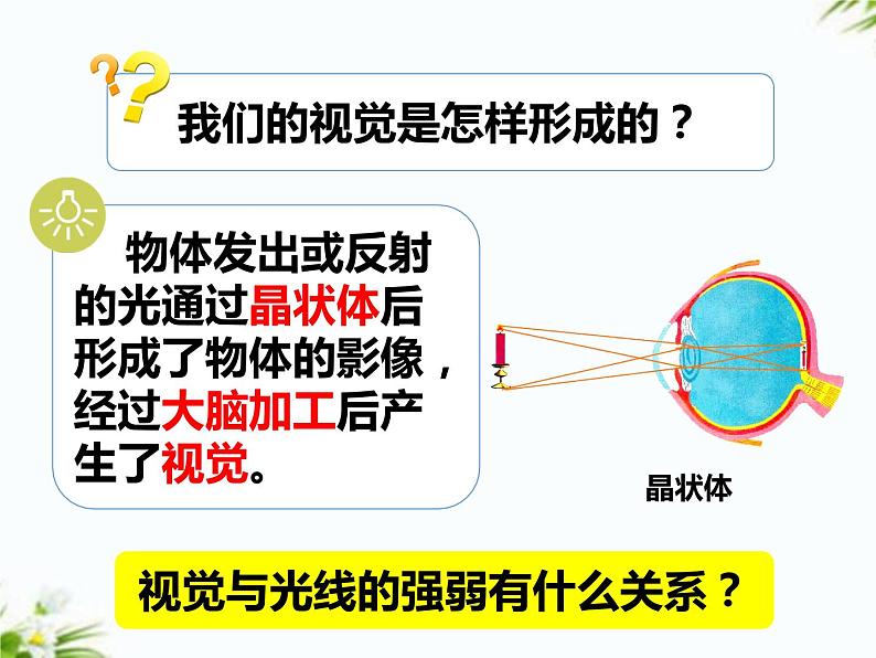 湘科版五年级下册科学3.5 光线与视觉 课件+教案02