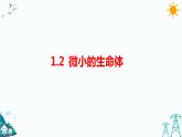 苏教版五年级下册科学1.2《微小的生命体》课件+教案+习题