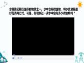 苏教版五年级下册科学1.2《微小的生命体》课件+教案+习题