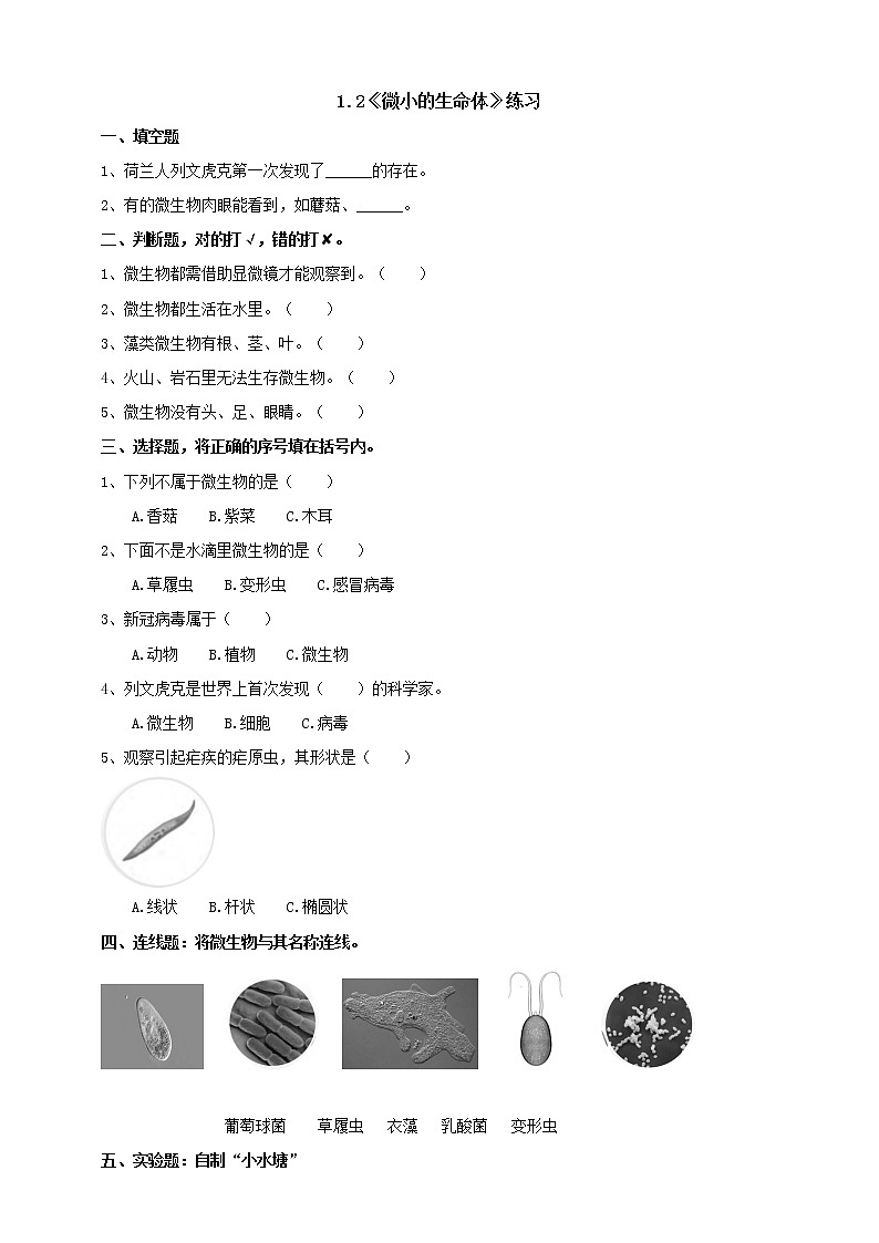 1.2《微小的生命体》练习（含答案）第1页