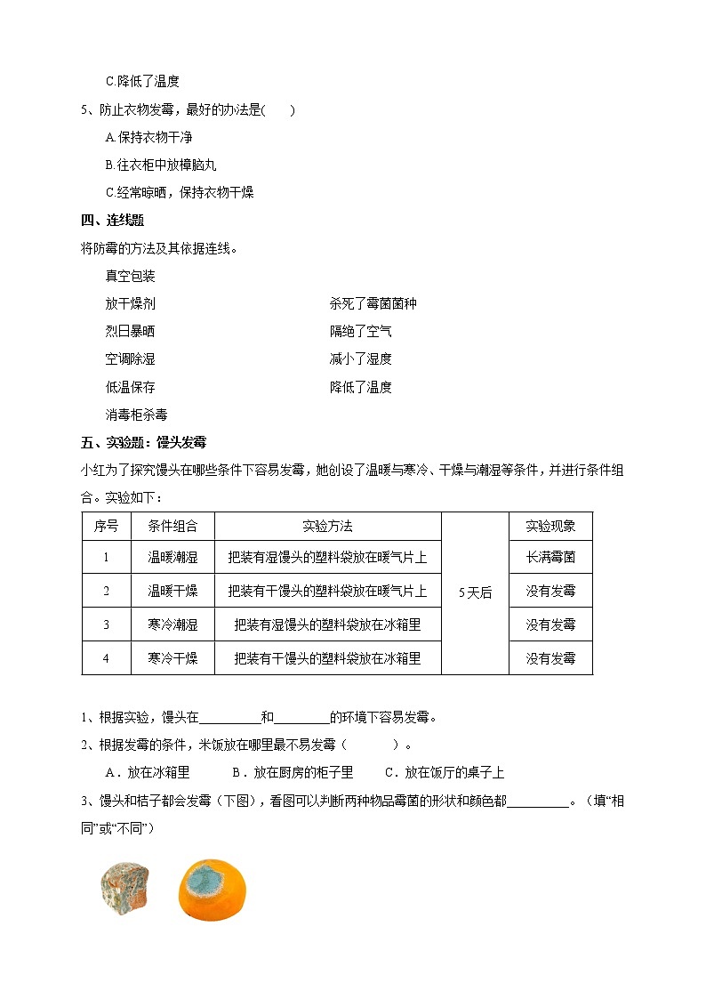 1.3《发霉与防霉》练习（含答案）第2页