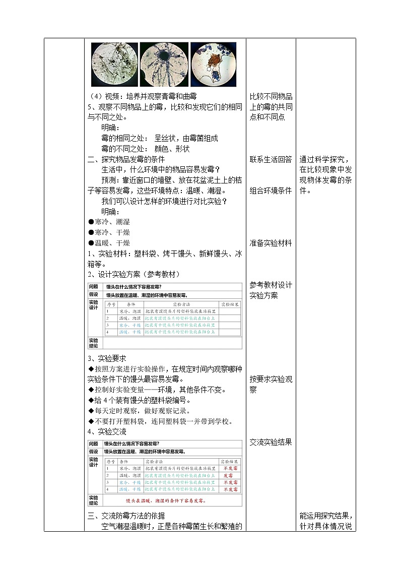 1.3《发霉与防霉》教案第2页