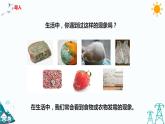 蘇教版五年級下冊科學1.3《發(fā)霉與防霉》課件+教案+習題